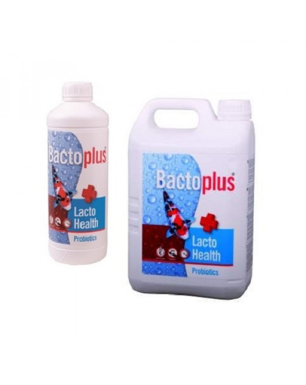 probiotyki na bazie kwasu mlekowego dla karpi koi