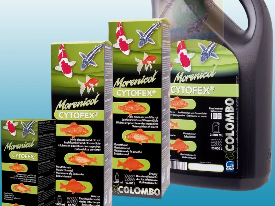 cytofex na choroby bakteryjne dla ryb